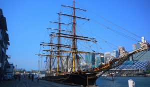 雪梨美食散步|從The Rocks到Fish Market的頂級海鮮之旅